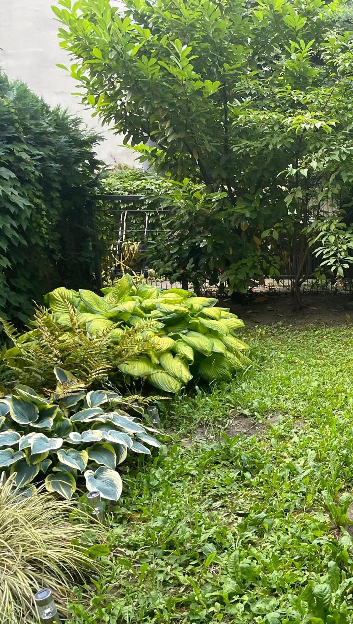 Apartment Mit Logia Und Kleinen Garten In Zentraler Lage 2 Wien Exteriör bild